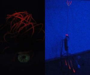 bakibogac@hotmail.com